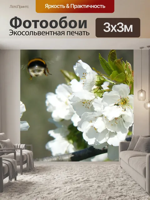 Фотообои Цветы