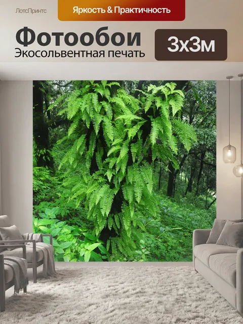 Фотообои Лес 03