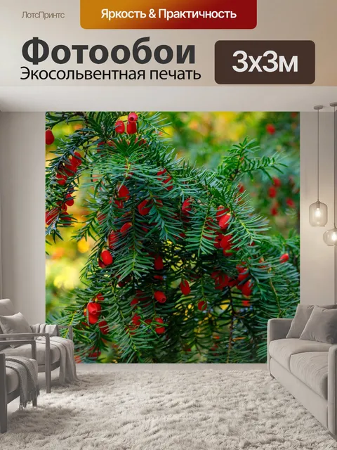 Фотообои Ботанический сад в Быдгоще