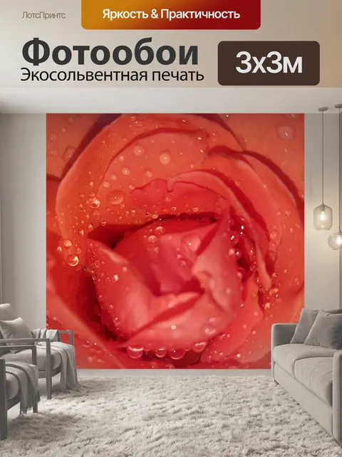 Фотообои Роза