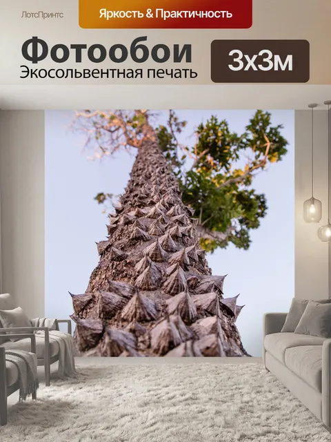 Фотообои Дерево
