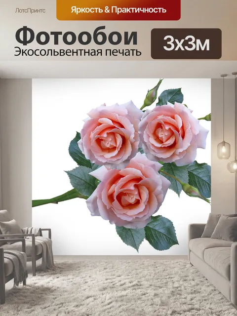 Фотообои Розы