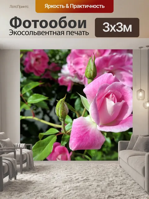 Фотообои Розовый бутон розы