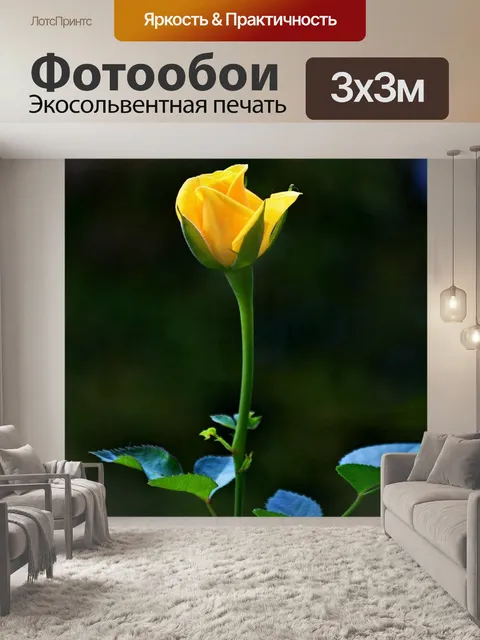 Фотообои Роуз