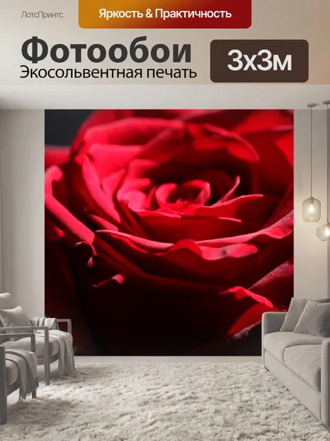 Фотообои Бутон