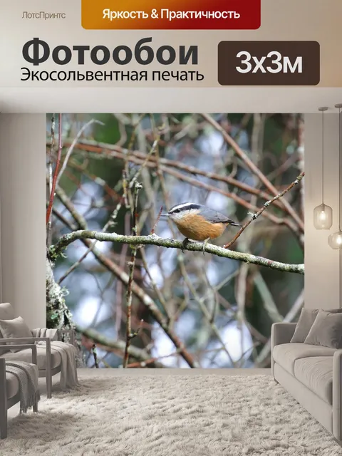 Фотообои Дерево