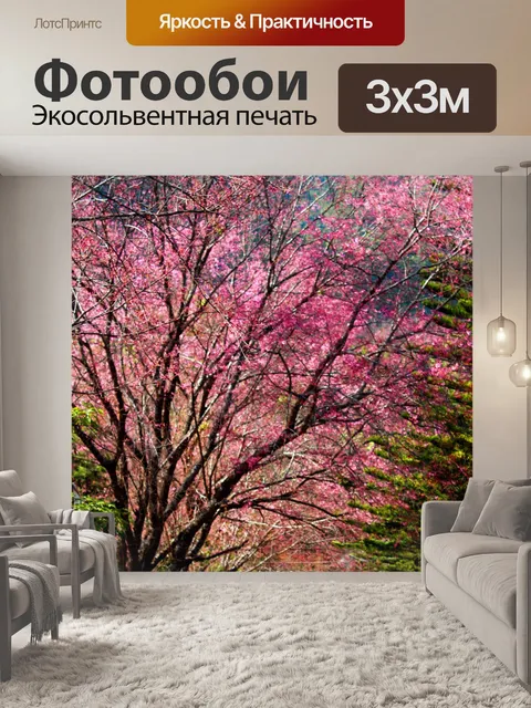 Фотообои Сакура Таиланд