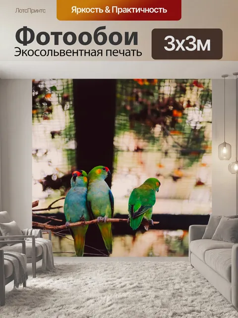 Фотообои Попугай