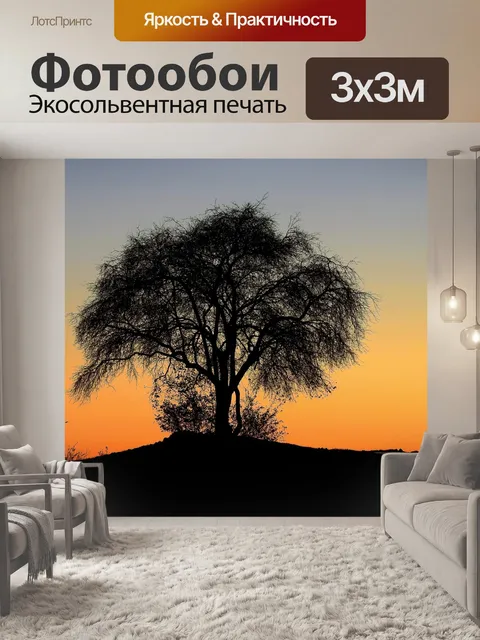 Фотообои Закат