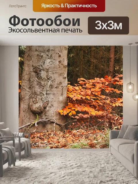 Фотообои Деревья