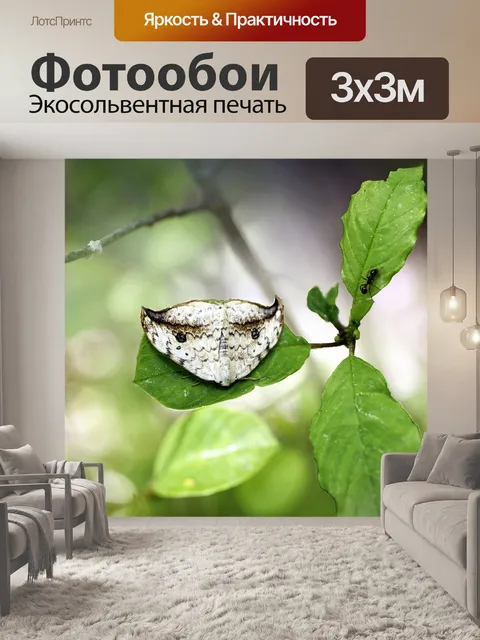 Фотообои Насекомое