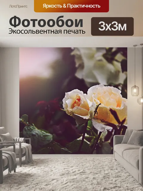 Фотообои Розы