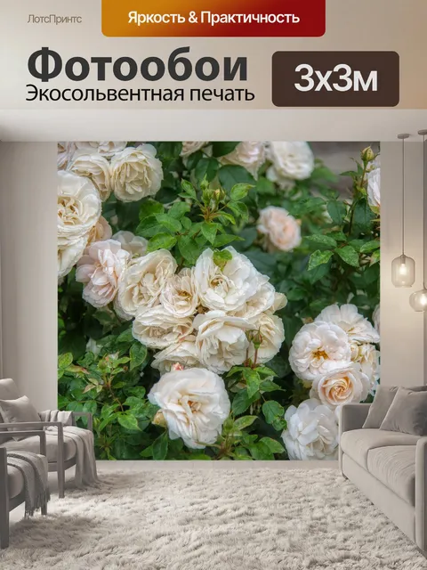 Фотообои Розовый куст