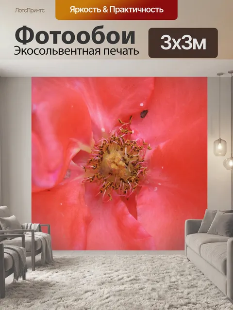 Фотообои центр розы