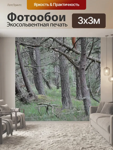 Фотообои Лес