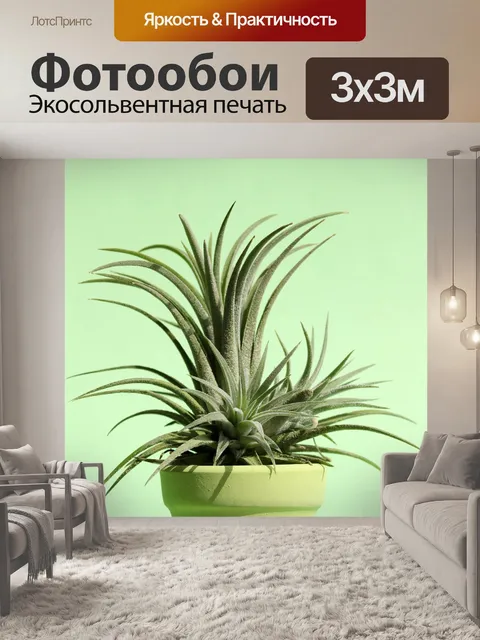 Фотообои Пастельный