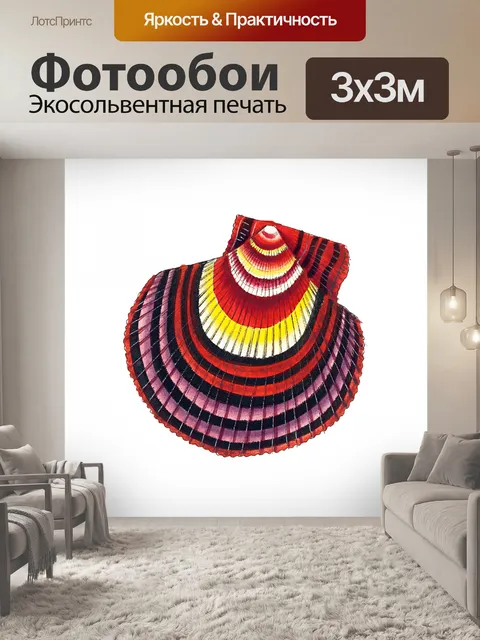 Фотообои Ракушка старинное искусство старый
