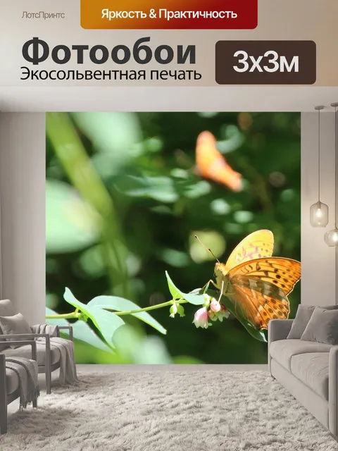 Фотообои Бабочки
