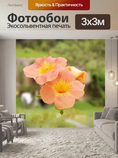 Фотообои Цветы