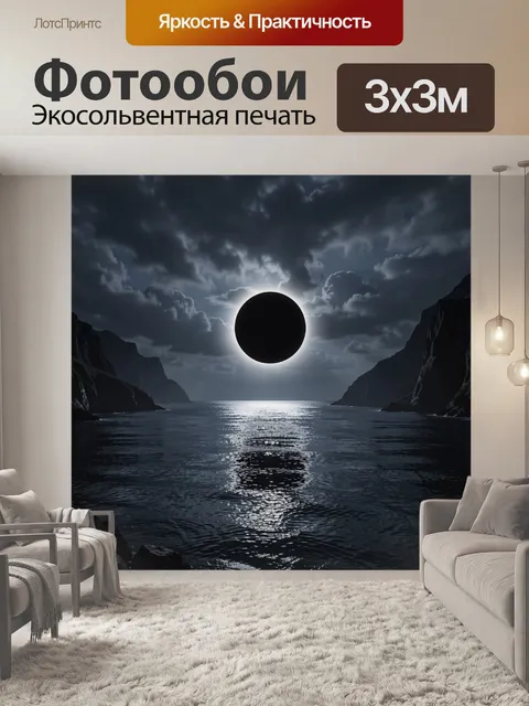 Фотообои Чёрный круг над морским заливом