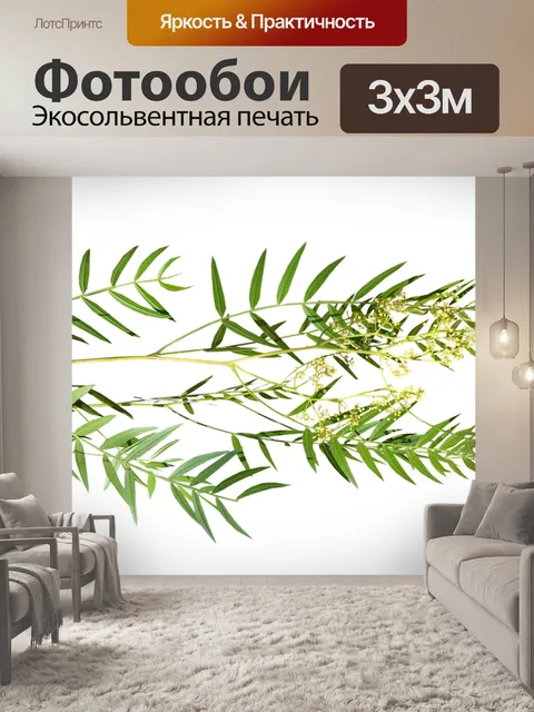 Фотообои Листья
