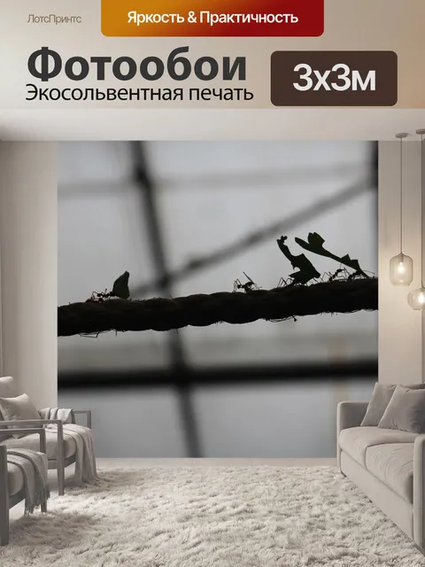 Фотообои Муравьи