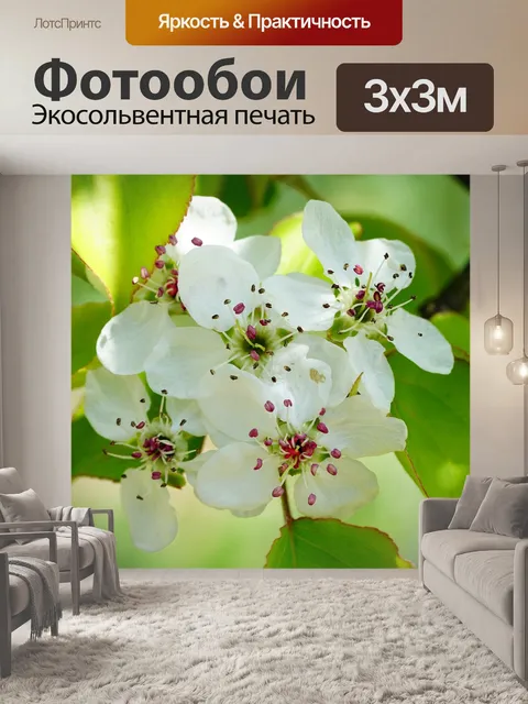 Фотообои Цветок
