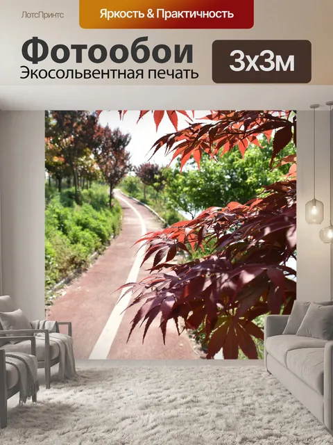 Фотообои Спортивная дорожка