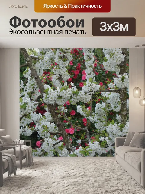 Фотообои Цветущая вишня с камелиями