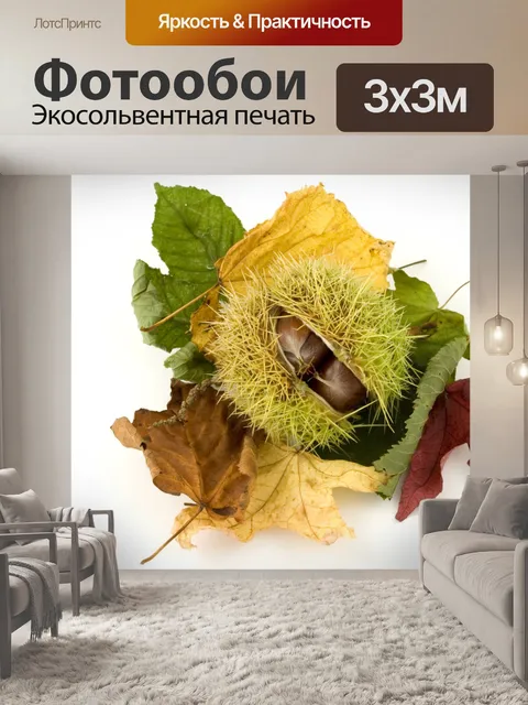 Фотообои Сладкий плод конского каштана