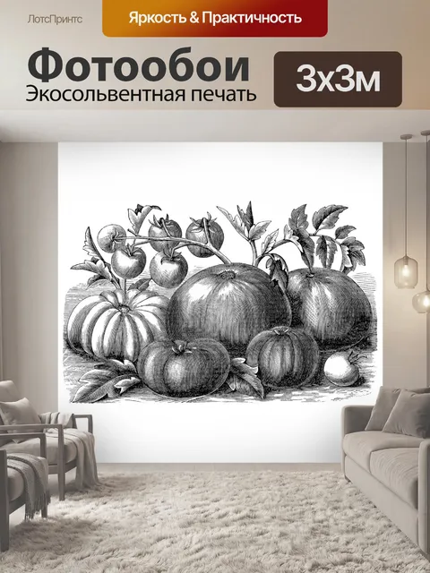 Фотообои Клипарт старинные тыквы