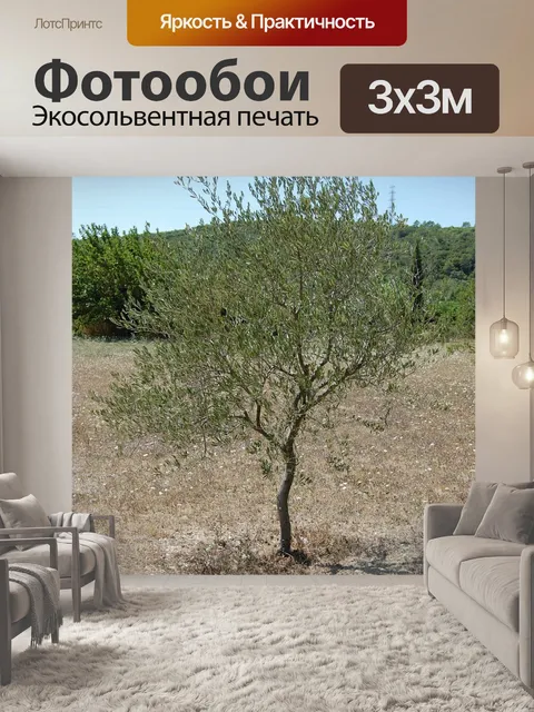 Фотообои Оливье