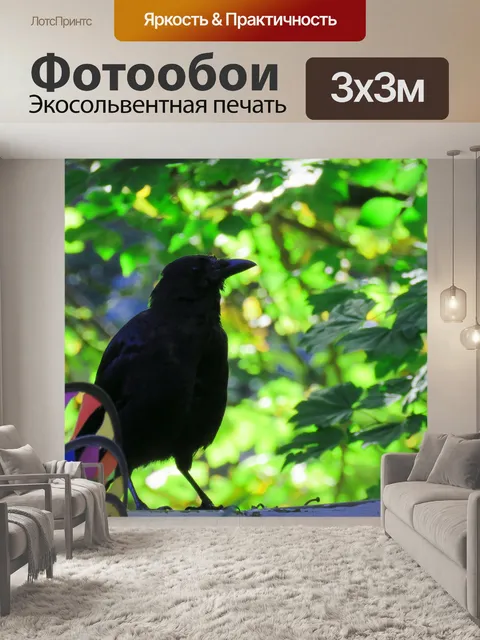 Фотообои Ворона на заборе