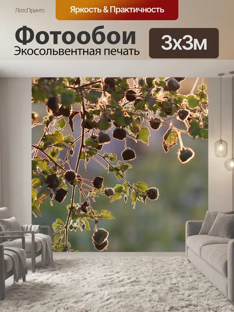Фотообои Пейзаж