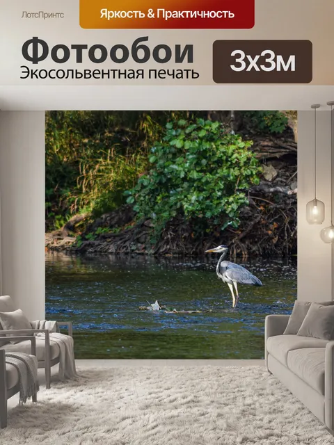 Фотообои Цапля