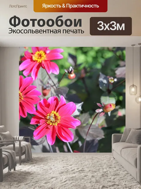 Фотообои Цветы