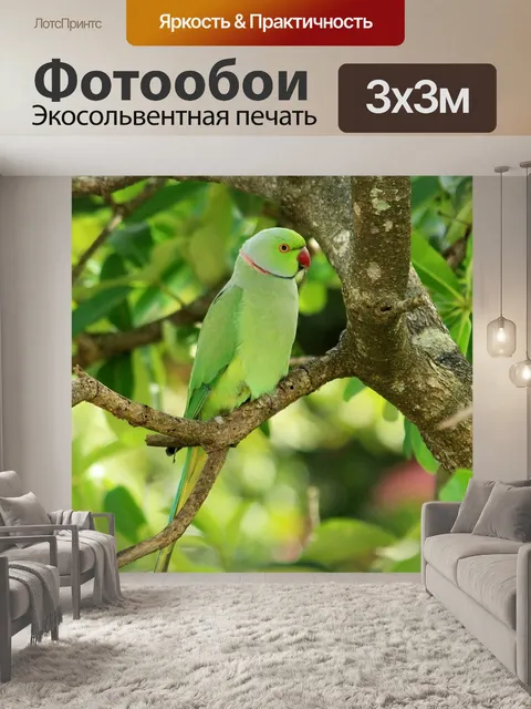 Фотообои Попугай