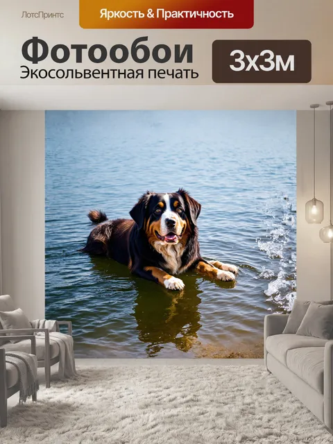 Фотообои бернский зенненхунд лежит на берегу озера, наслаждаясь звук покоя и легкого плеска воды