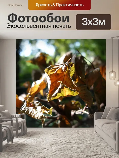 Фотообои Листья