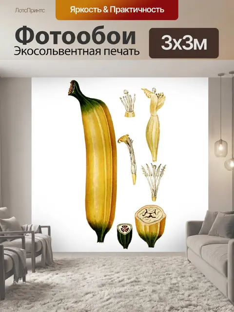 Фотообои Банановые фрукты винтажное искусство