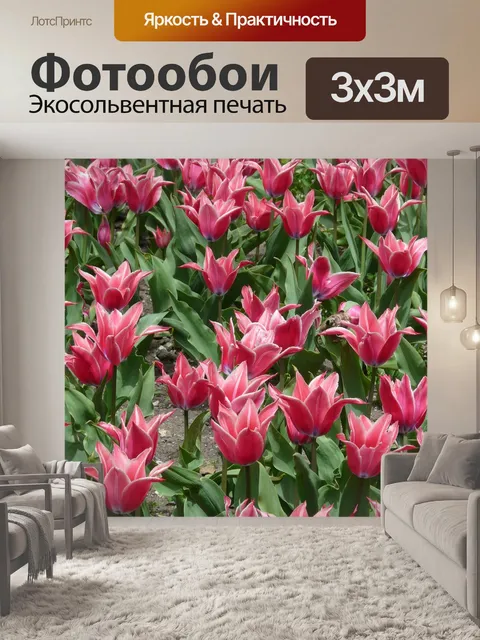 Фотообои Цветок