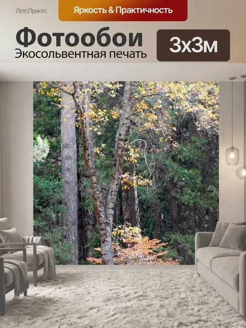 Фотообои Лес