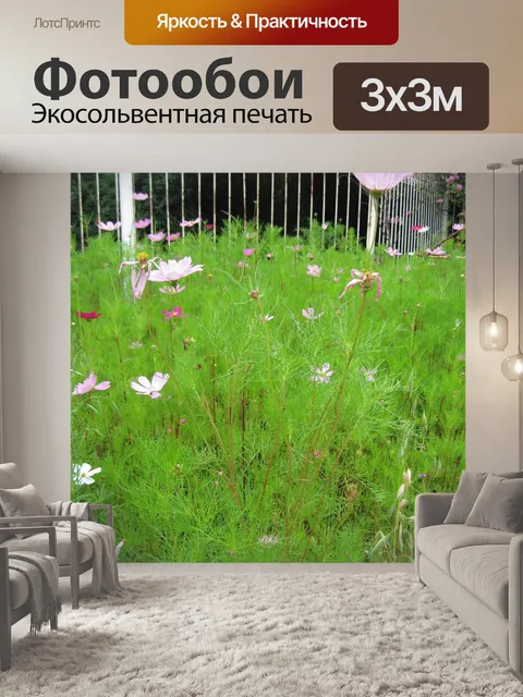 Фотообои участок космоса