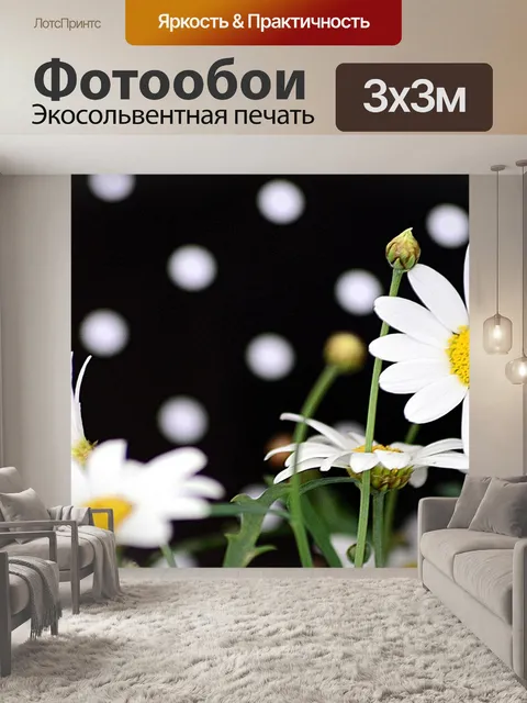 Фотообои Точки