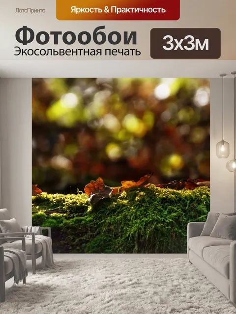 Фотообои Осень листья мох ствол дерева фото