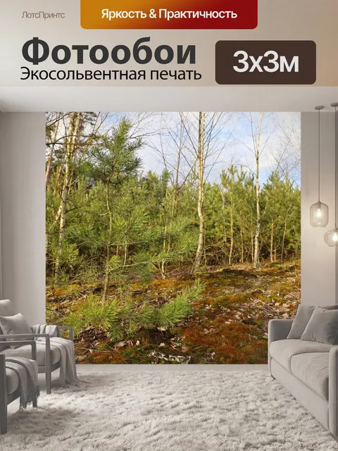Фотообои Лес
