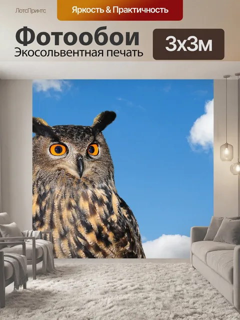 Фотообои Сова против голубого неба