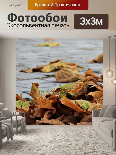 Фотообои Падение