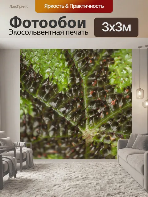 Фотообои Шипы