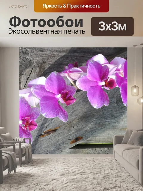 Фотообои Орхидеи